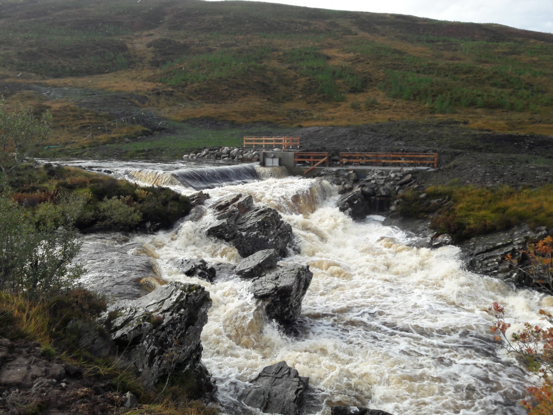 Leckie Valley